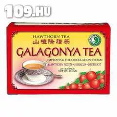 Dr.Chen filteres tea galagonya